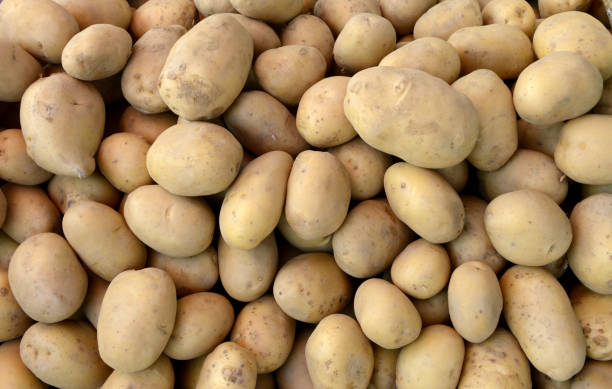 istock potatoes raw vegetables food in market 821318580