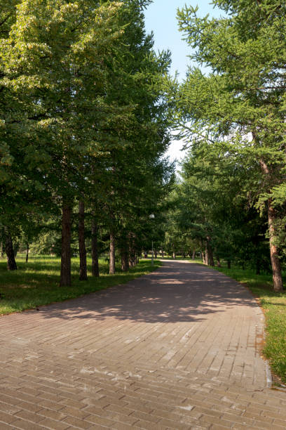 istock city park for walking 821322550