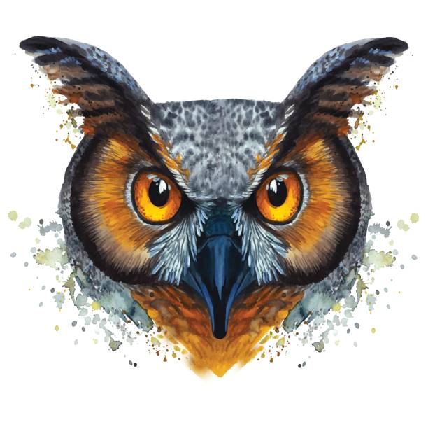 A drawing of a night owl, painted by watercolors, an owl with a bright coloring,orange bloody eyes A drawing of a night owl, painted by watercolors, an owl with a bright coloring, green eyes, orange bloody eyes owl illustrations stock illustrations