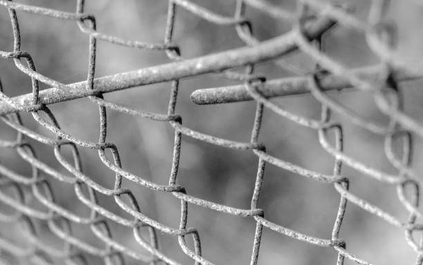 istock Post apocalyptic texture. Protection metallic steel mesh fence. 821331554