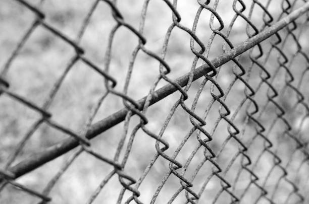istock Post apocalyptic texture. Protection metallic steel mesh fence. 821331578