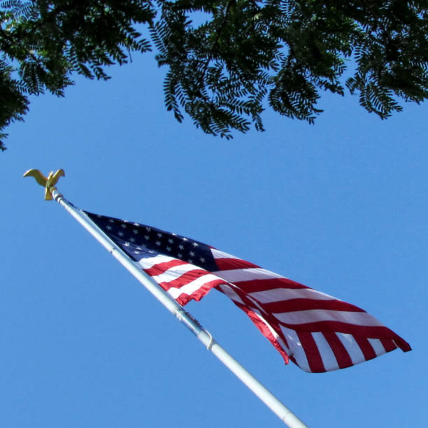 istock Washington Police Memorial flag 2013 821337712
