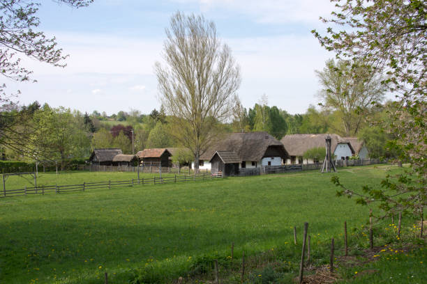 hungarian village - thatched roof imagens e fotografias de stock