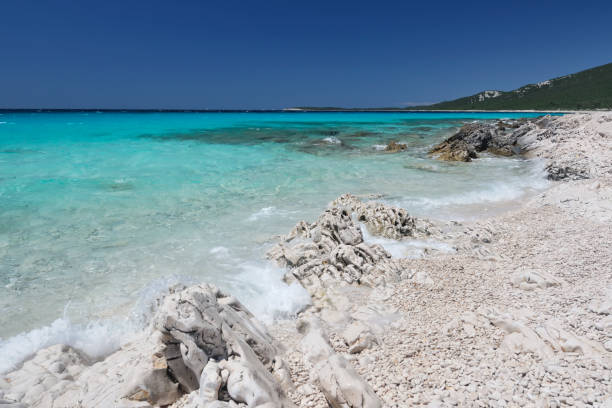 istock Beautiful beach with turquoise water and waves. 821350294