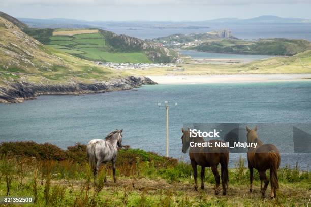 View Across Field With 3 Horses And Inlet Towards Distant Beach Stock Photo - Download Image Now