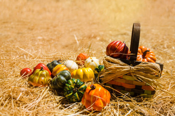 istock Basket with Autumn harvest vegetables background 821352656