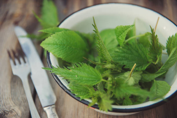 healthy food. Detox. Organic nutrition. veganism. salad with nettle