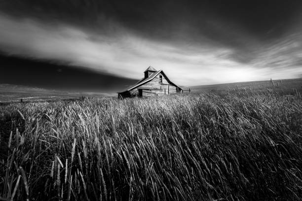 istock Abandoned Farm House in the Palouse 821353578