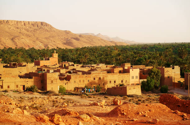 istock The oasis on the desert, Morocco 821356182
