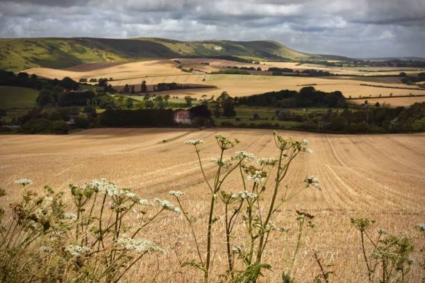 View over the North Yorkshire moors towards the North East Coast near Whitby.