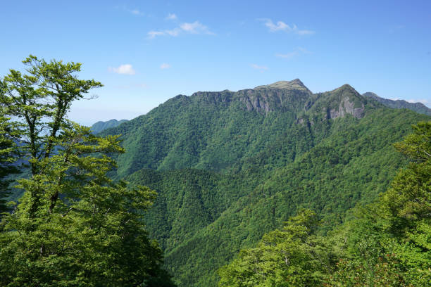 istock Japanese Mountains landscape with green forests 821362254