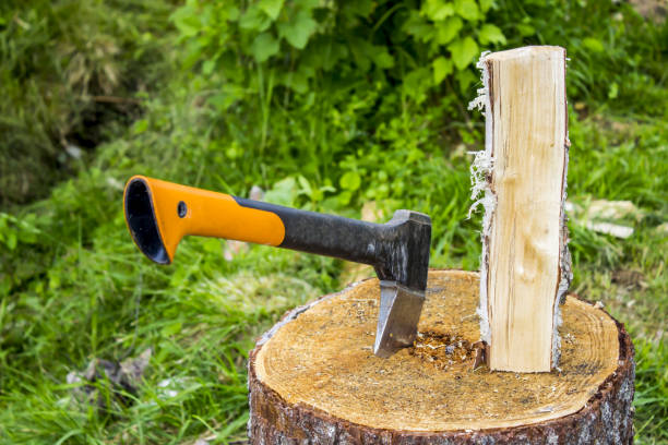 istock An ax in a stump, a birch log, in the garden 821362790