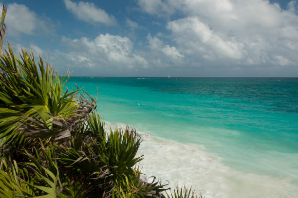istock Tulum ruins Mexico, Quintana Roo 821362896
