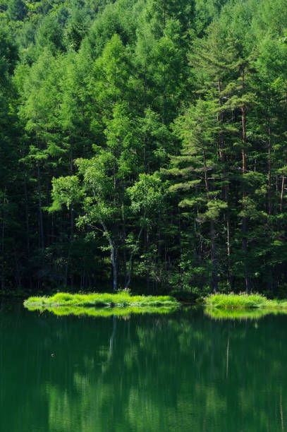istock mishaka pond（Nagano prefecture） 821369784