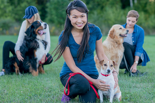 Three dogs are outdoors in a field with their female owners. The dog are sitting and the women are kneeling to touch the dogs. They all look happy.