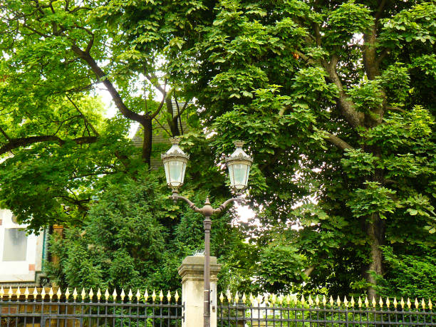 Close-up on the streets and monuments of Paris