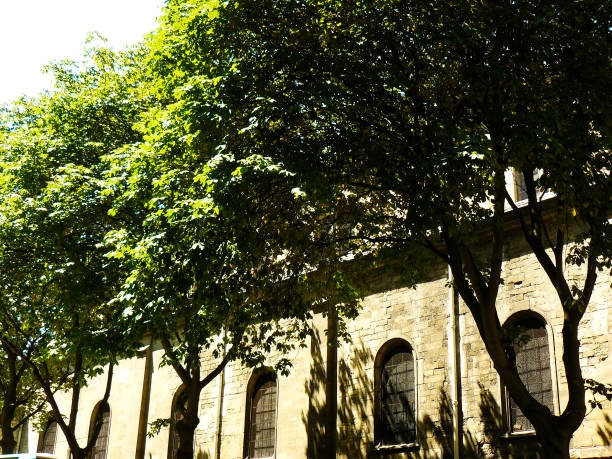 istock Photo shooting in Paris 821388924