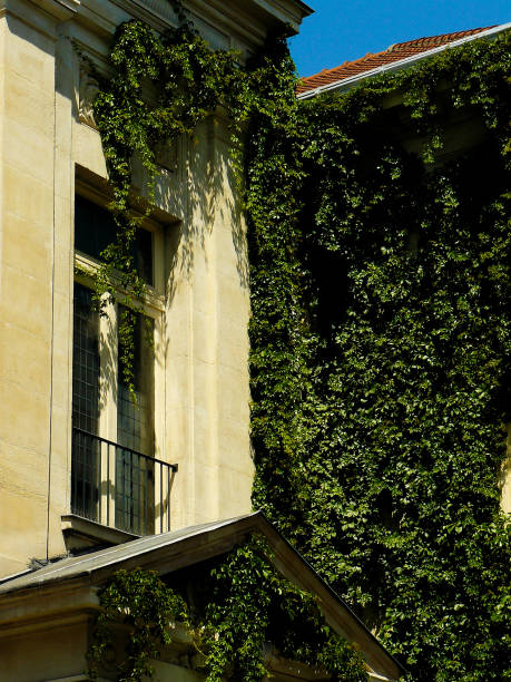 istock Photo shooting in Paris 821388946
