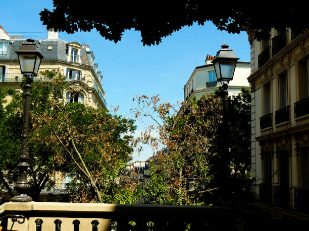 istock Photo shooting in Paris 821388950