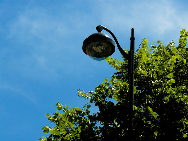 istock Photo shooting in Paris 821388956