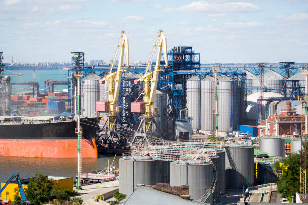 istock Port grain elevator. Industrial sea trading port bulk cargo zone grain terminal 821389564