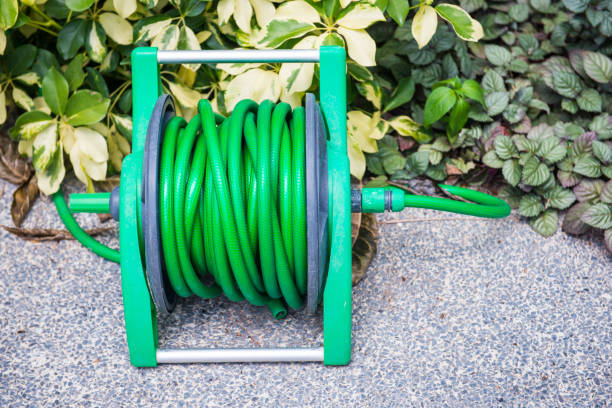 istock Roll the watering hose in the garden 821392690