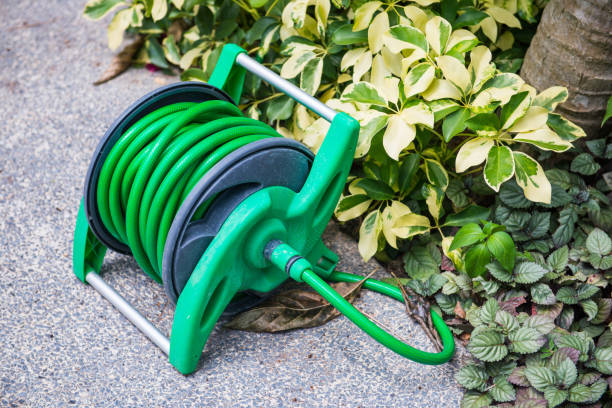 istock Roll the watering hose in the garden 821392694