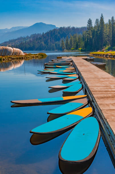 paddleboard al molo di hume lake vicino al kings canyon national park, ca - kings park foto e immagini stock