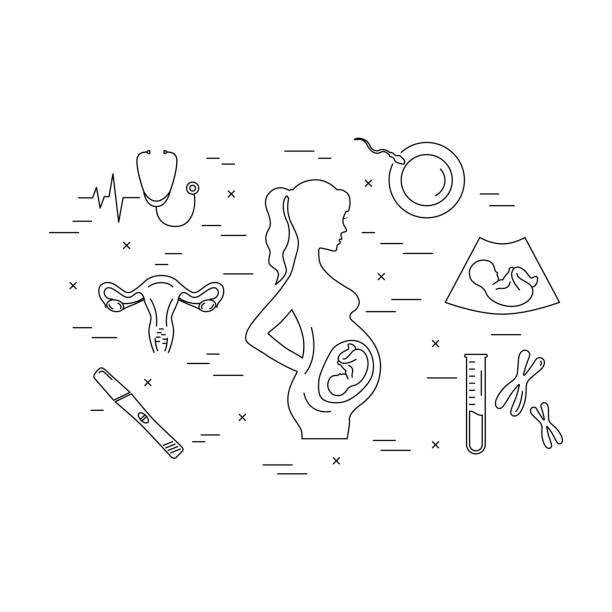 Embarazo y el parto. Iconos de línea del vector.