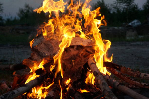 istock Bright flame of fire from birch bark and firewood in the evening forest 821404180