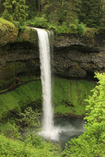 istock Water fall in Portland, Oregon. 821409902
