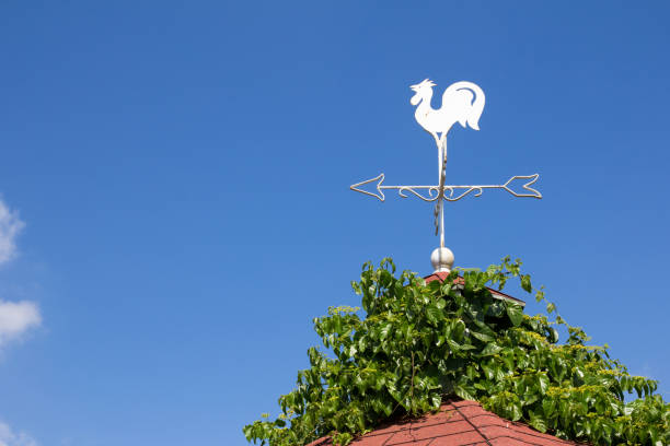 istock White rooster weather vane show the wind direction on blue sky background 821416356