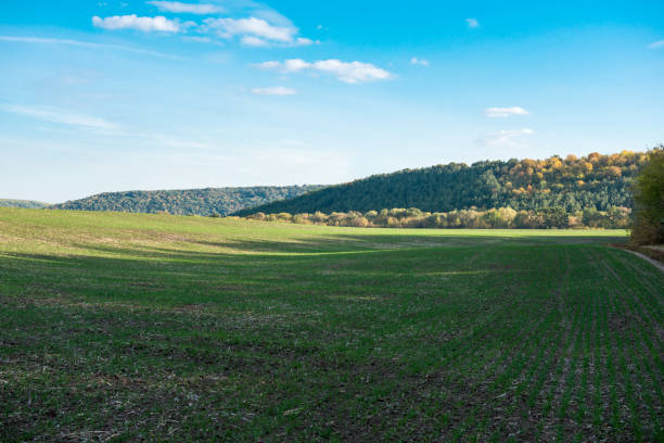 istock Autumn rural landscape 821416782
