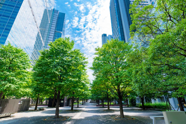 istock Refreshing green business area in Tokyo 821416786