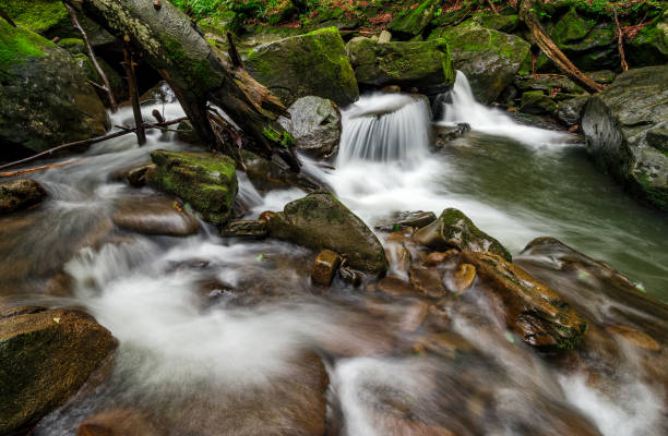 istock small cascade on the river among bouders in forest 821419924