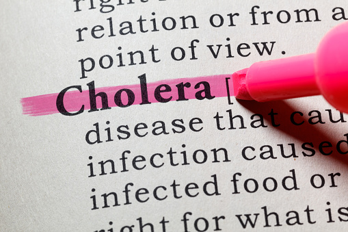 Fake Dictionary, Dictionary definition of the word cholera. including key descriptive words.