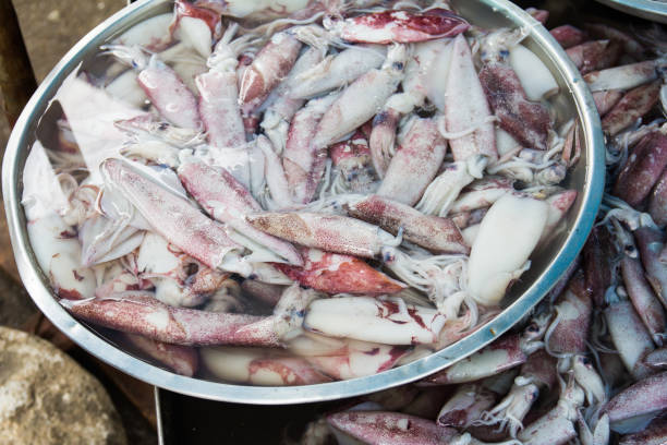 istock Squids at a food market 821444528