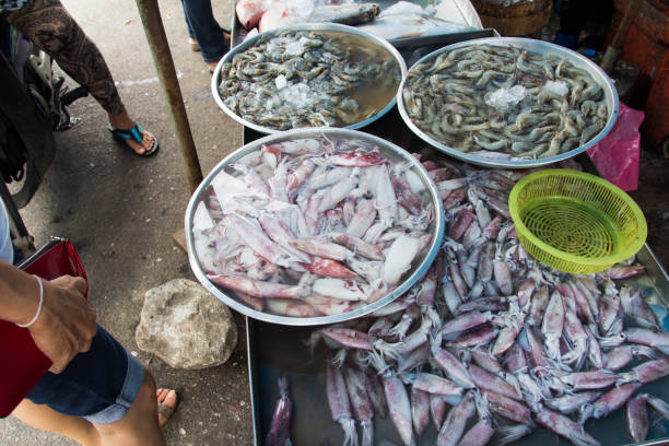 istock Squids at a food market 821444532