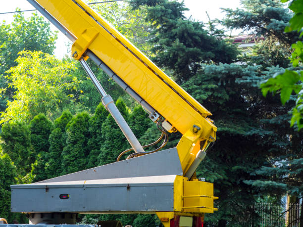 istock Hydraulic cylinders used in construction machines 821449662