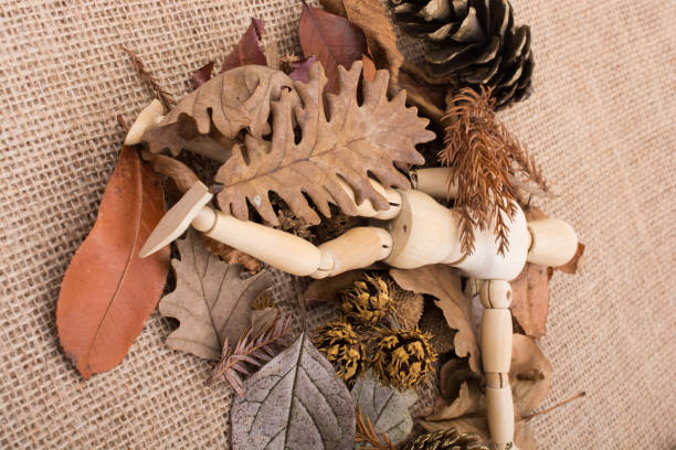 Wooden dolls posing amid leaves