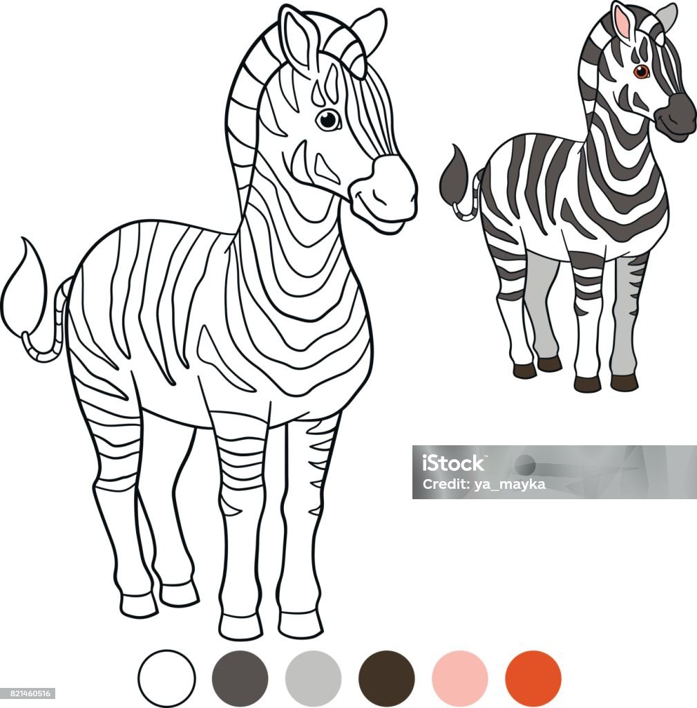 Color me: zebra. Cute beautiful zebra smiles. Color me: zebra. Cute beautiful zebra stands and smiles. Outline stock vector