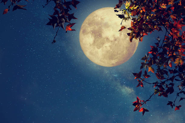 istock Beautiful autumn fantasy 821463028