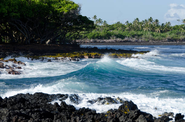 istock Surf at Isaac Hale Park, Puna, Big Island, Hawaii 821467950