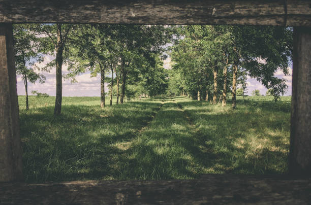 Exploring beautiful landscapes of Serbia
