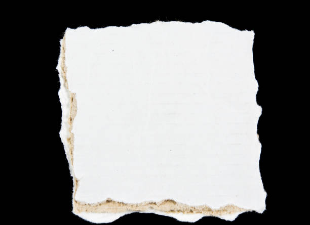 istock tear white paper pieces of paper 821482196