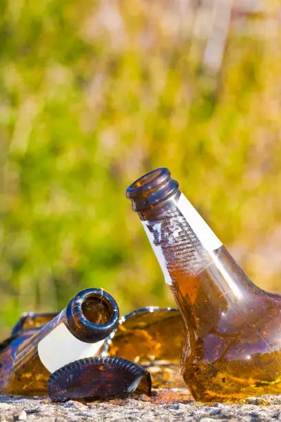 Photo of Shattered beer bottle resting on the ground: alcoholism concept