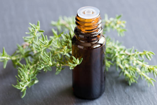 istock A bottle of thyme essential oil 821489452