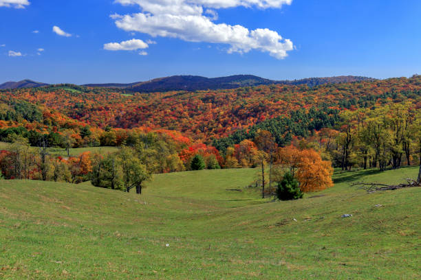 istock Doughton Park, Blue Ridge Parkway, North Carolina 821489524