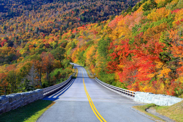 grandfather mountain - grandfather mountain foto e immagini stock