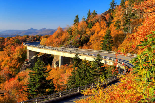 istock Linn Cove Viaduct, Blue Ridge Parkway, North Carolina 821492682